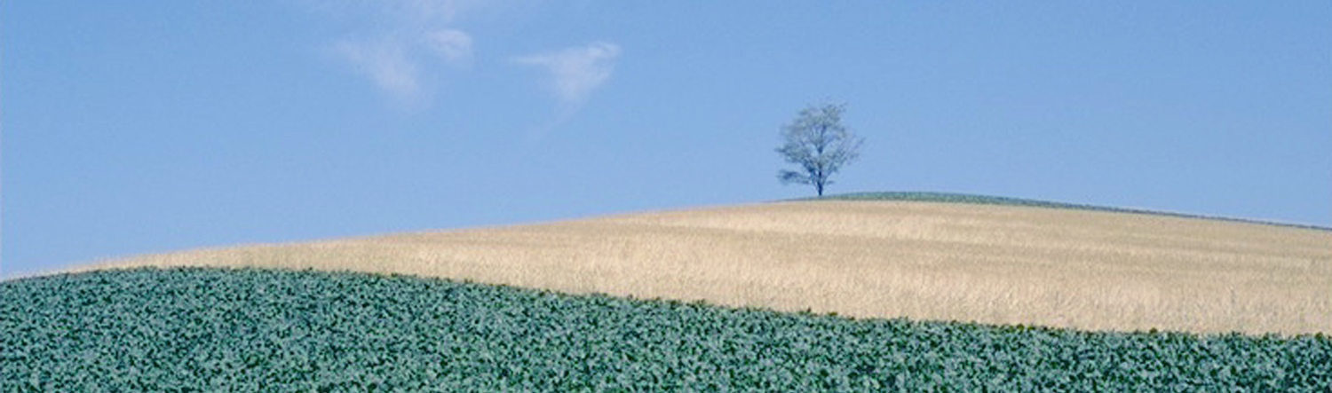 ホーム画像　風景
